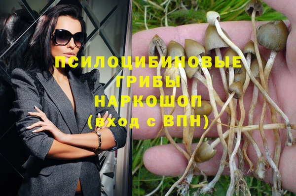 PSILOCYBIN Балахна