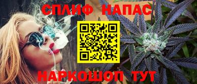 шишки Можга